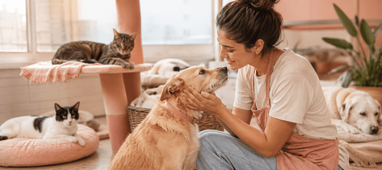Labor de Fundación Corazón de Huella por el bienestar animal - imagen 10