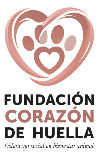 Labor de Fundación Corazón de Huella por el bienestar animal
